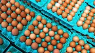 Reprodução/Agroceres
