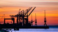 Reprodução/Freepik