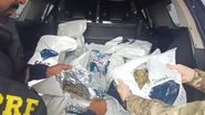 Imagem PRF apreende grande quantidade de drogas e prende três suspeitos após tentativa de fuga na Grande Natal; veja o vídeo