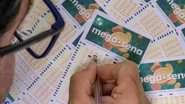Rafa Neddermeyer/Agência Brasil