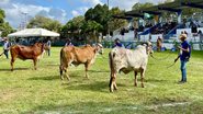 Foto: reprodução Faern/Senar