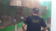 Foto: PF/Reprodução