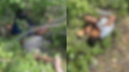 Imagem: Reprodução