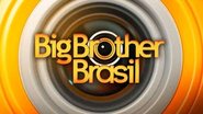 Reprodução internet Globo