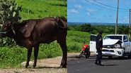 Reprodução: Divulgação