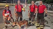 Divulgação/Corpo de Bombeiros
