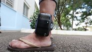 Reprodução internet