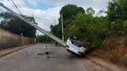 Reprodução internet
