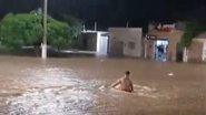 Reprodução internet
