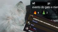 Reprodução/Polícia Civil