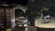 Reprodução/Blog Gustavo Negreiros