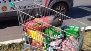 Reprodução: @nacidadenews24h