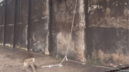 Imagem Fuga de presos no RN: chuvas “facilitam” fuga de detentos em uma das principais penitenciárias do estado
