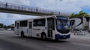 Reprodução: Heilysmar Lima