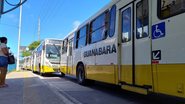 Reprodução/STTU