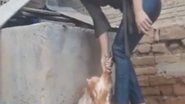 Imagem Investigada por criar "canal pago" de tortura animal é presa; relembre o caso que chocou o RN