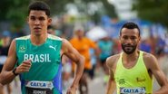 ZDL divulgações