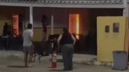 reprodução