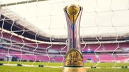 Reprodução: Fábio Souza/CBF