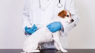 Reprodução/Pet Support
