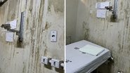 Reprodução internet