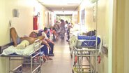Foto: José Aldenir