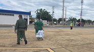 Divulgação