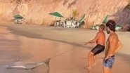 Tibau Noticias Pipa