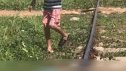 Reprodução: Internet