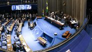 Foto: Jefferson Rudy/Agência Senado