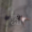 Foto: Portal da Tropical