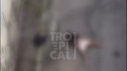 Foto: Portal da Tropical