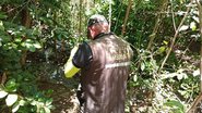 Divulgação/Fiscalização Ambiental