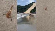 Imagem: Reprodução redes sociais