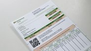 Reprodução/Site Avoador