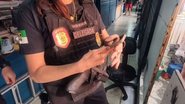 Reprodução/PCRN