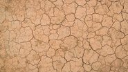 Foto: Magnific