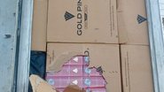 Imagem: Reprodução