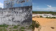 reprodução e montagem com Canva