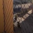 reprodução Oeste.Com