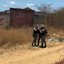 reprodução Ednardo Paiva