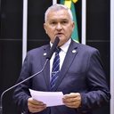 Zeca Ribeiro/Câmara dos Deputados