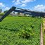 Foto: Seinfra Natal