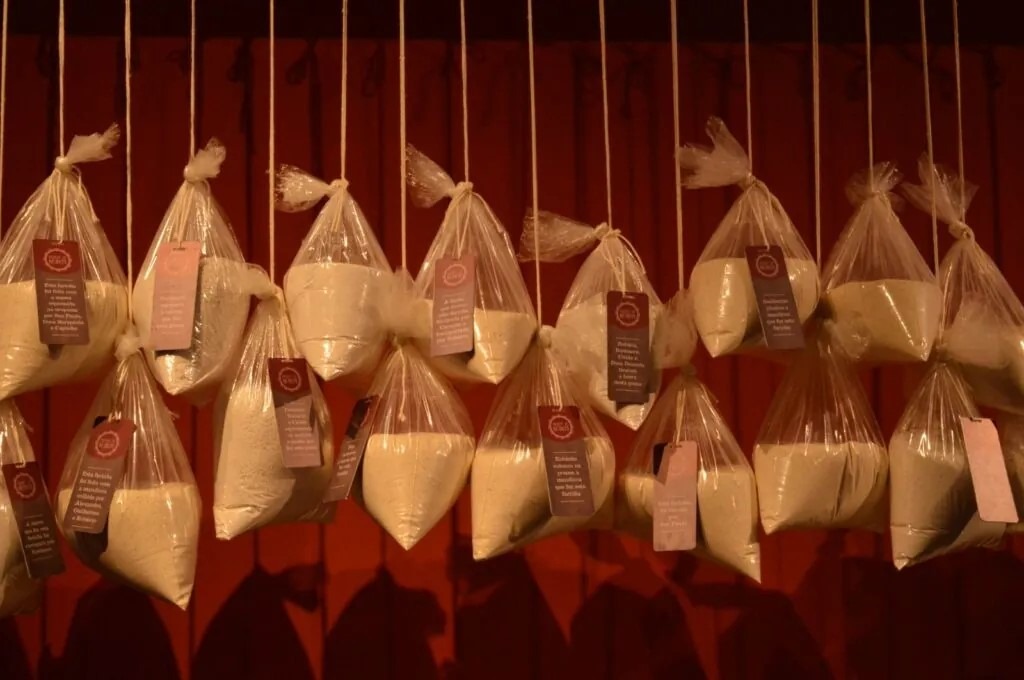 Pinacoteca do Estado recebe exposição sensorial em homenagem à cultura potiguar 