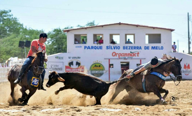 A Vaquejada de Verão, um dos eventos mais aguardados do calendário cultural potiguar, reúne vaqueiros de várias regiões do estado e visitantes de todo o Nordeste. Imagem divulgação internet.