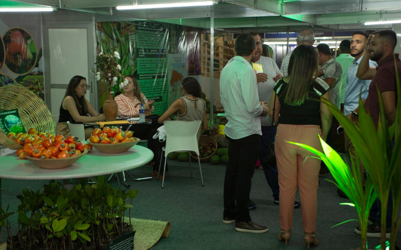 Segundo o levantamento, as medidas norte-americanas impactam diretamente o setor produtivo potiguar. Imagem: divulgação Expofruit.