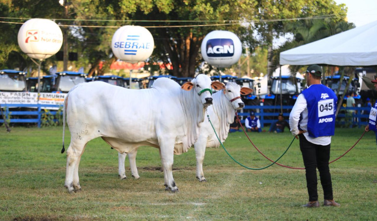 Foto: Divulgação/ANORC