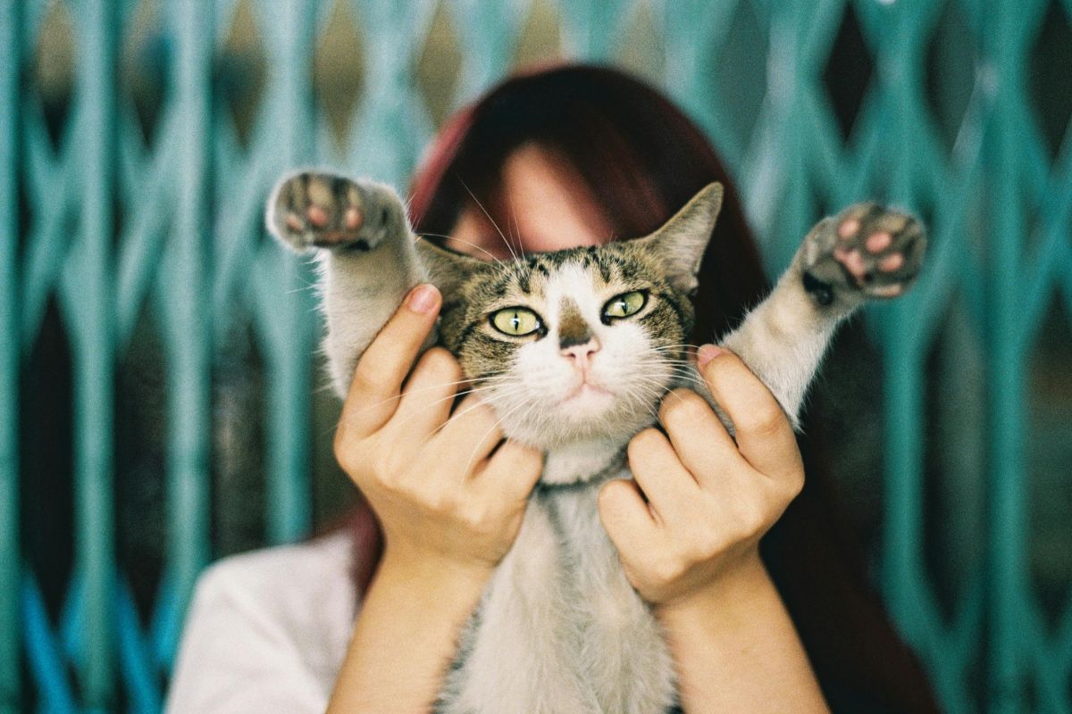 Reprodução/Pexels