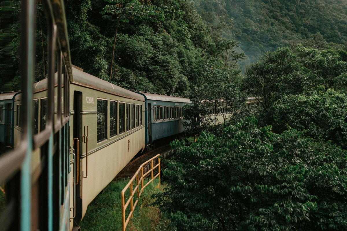 Reprodução/Pexels