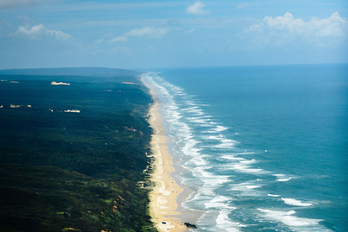 Reprodução/ Unsplash